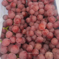 China xinjiang grape sweet grape fresh red grape